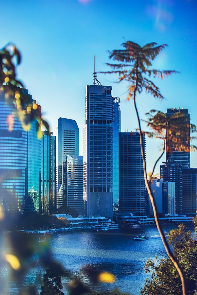 Brisbane city and the brisbane river, seen through tree branches